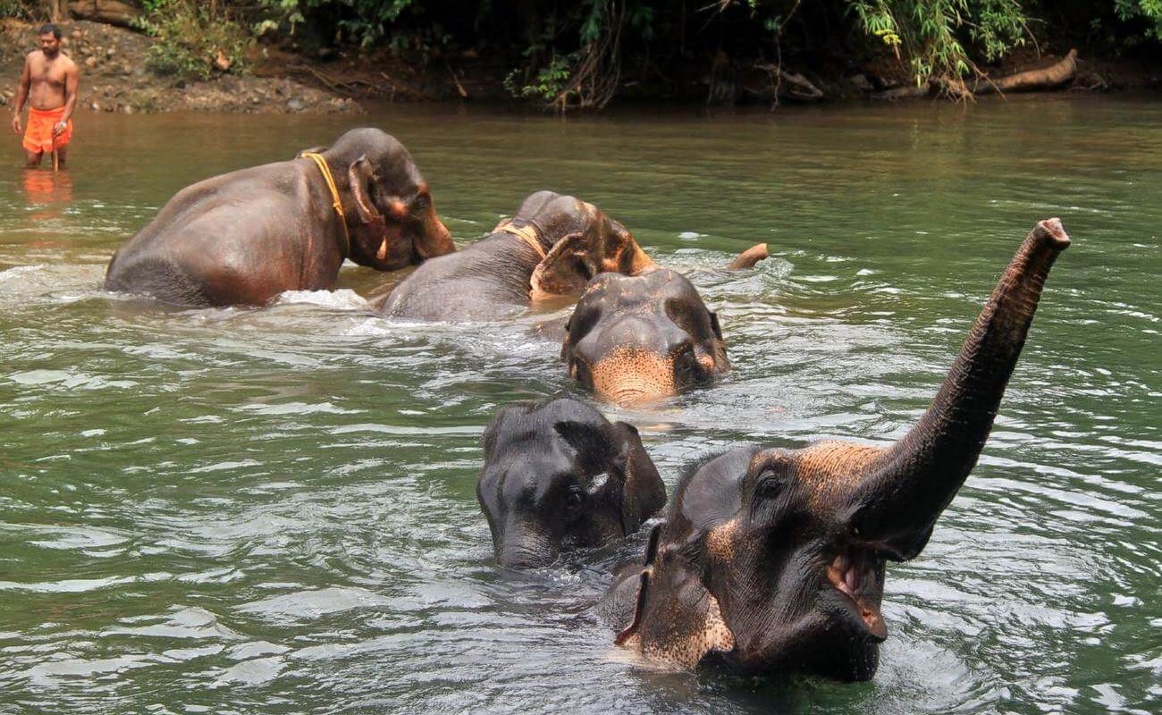 Smarttravel - туры, путевки на ГОА. турфирма, турагентства в Гродно и Лиде.