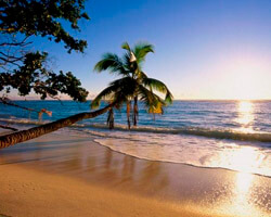 Smarttravel - горящие туры, путевки на ГОА. ЮЖНЫЙ ГОА. турфирма, турагентства в Гродно и Лиде.